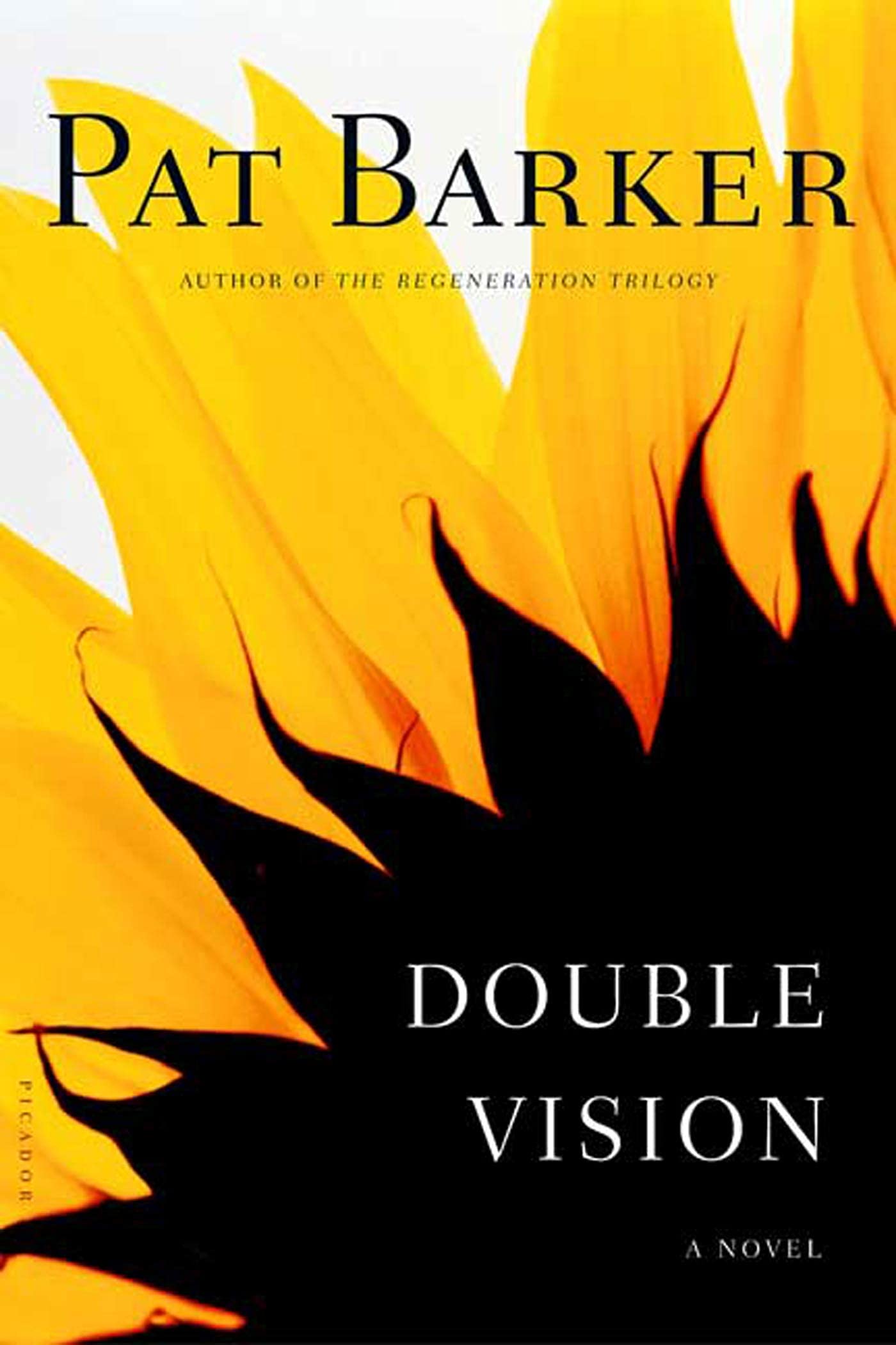 Double Vision book cover