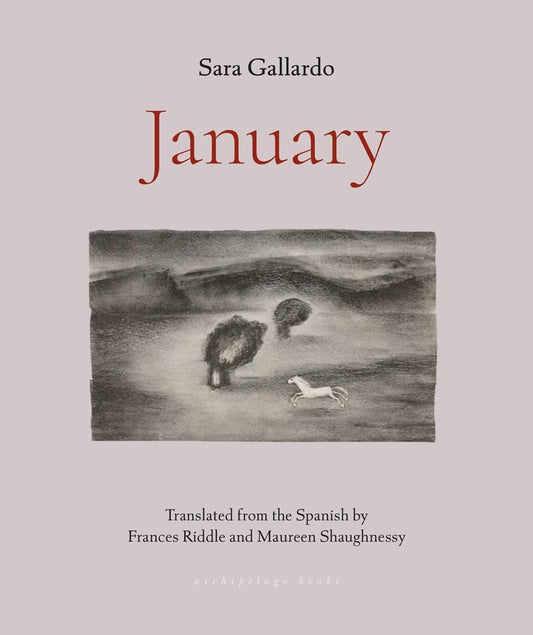 January book cover