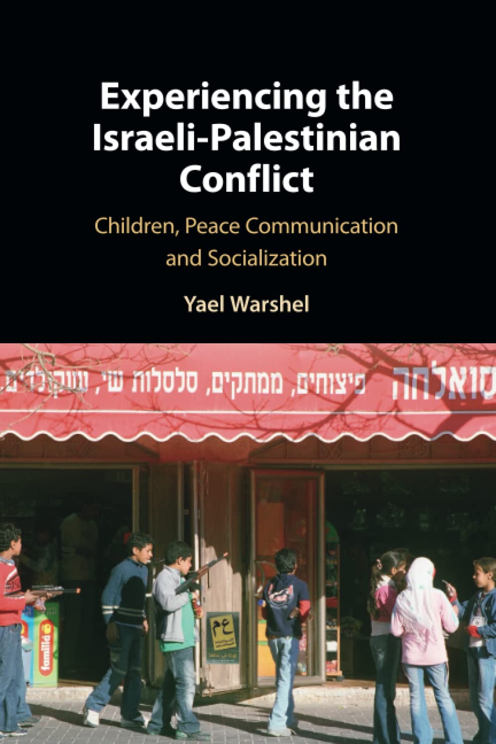 Experiencing the Israeli-Palestinian Conflict book cover