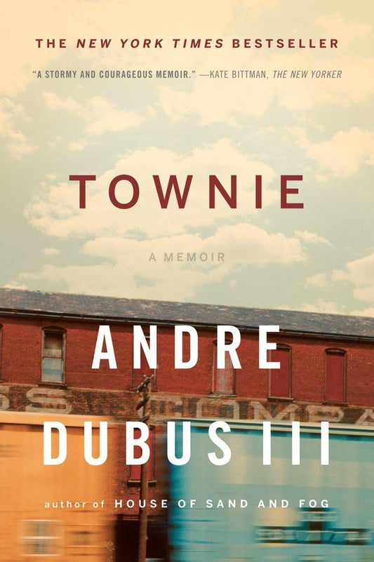Townie: A Memoir book cover