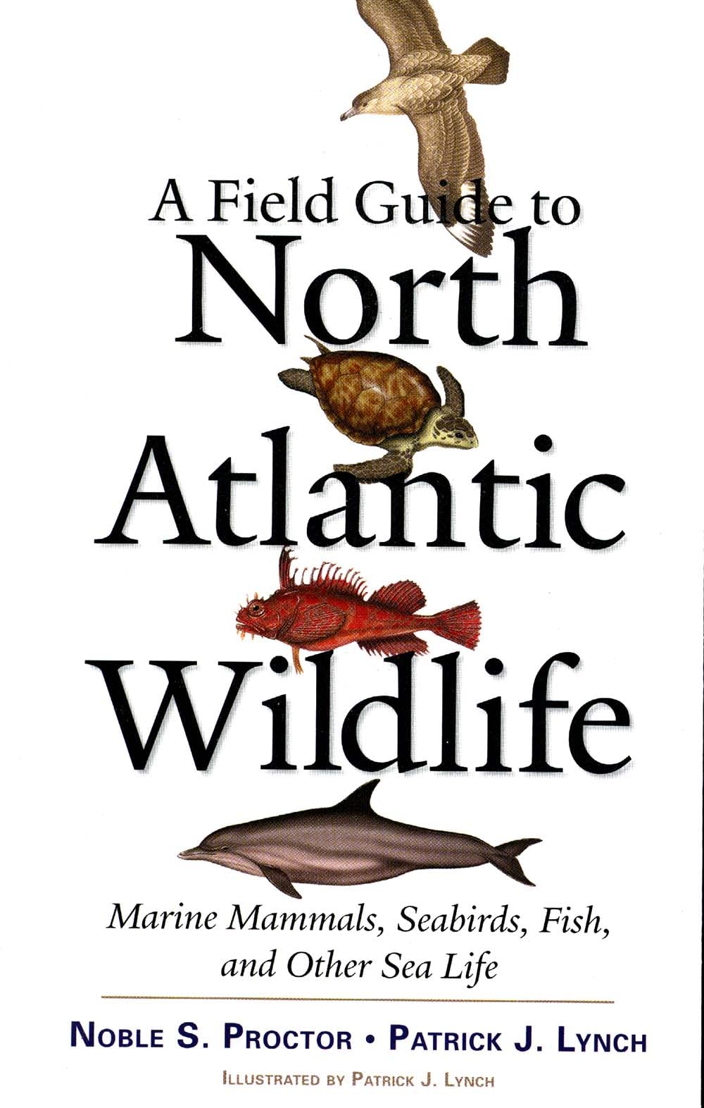 Field Guide to North Atlantic Wildlife: Marine Mammals, Seabirds, Fish, and Other Sea Life