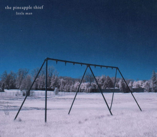 Little Man (Imported) book cover