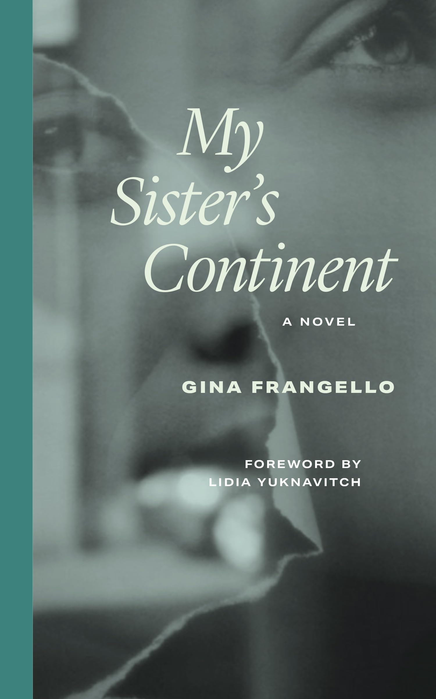 My Sister's Continent book cover