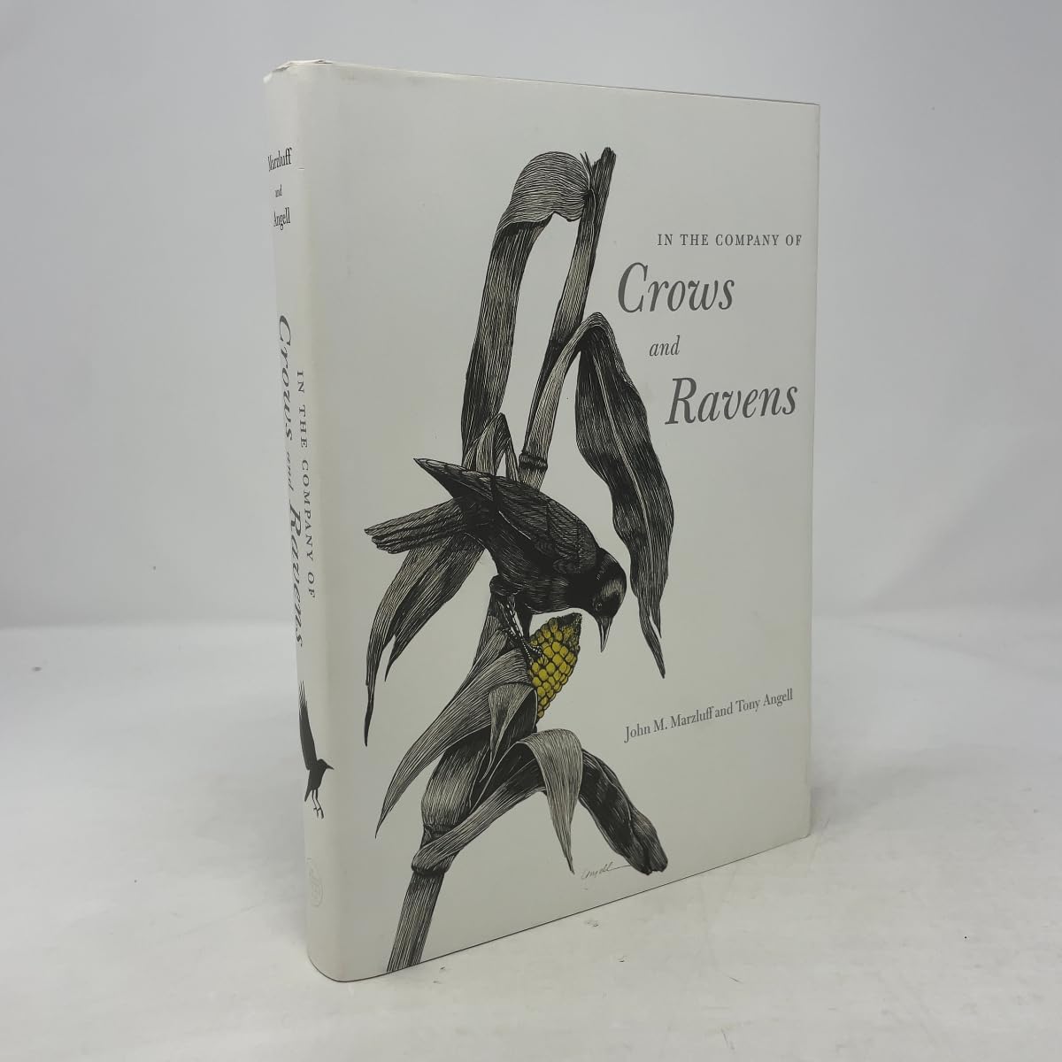 In the Company of Crows and Ravens book cover