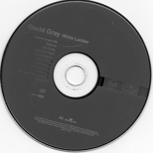 White Ladder book cover