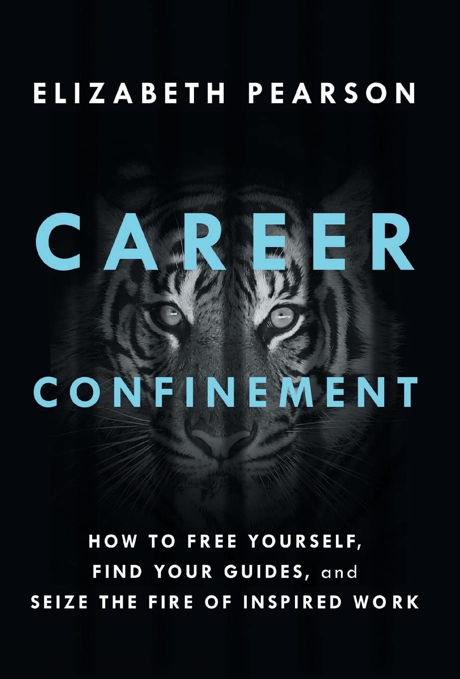 Career Confinement: How to Free Yourself, Find Your Guides, and Seize the Fire of Inspired Work book cover