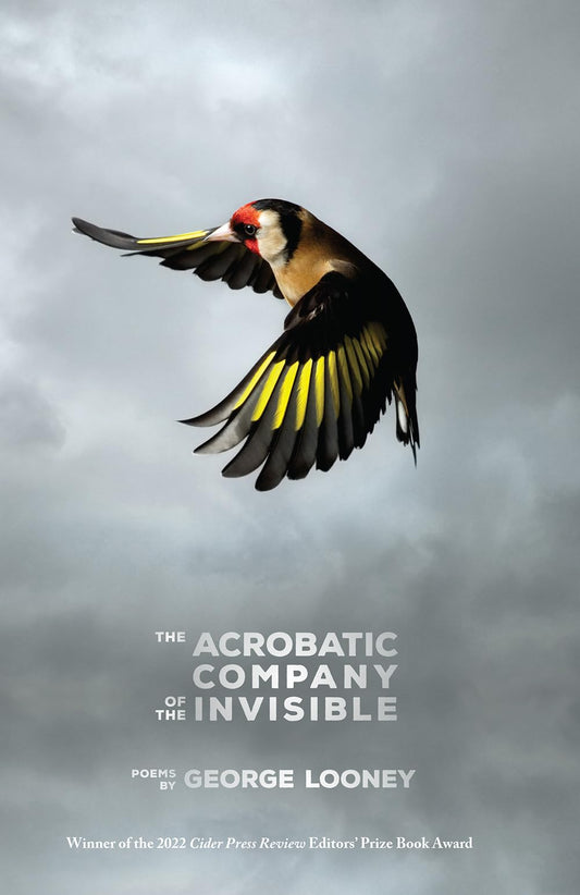 Acrobatic Company of the Invisible book cover
