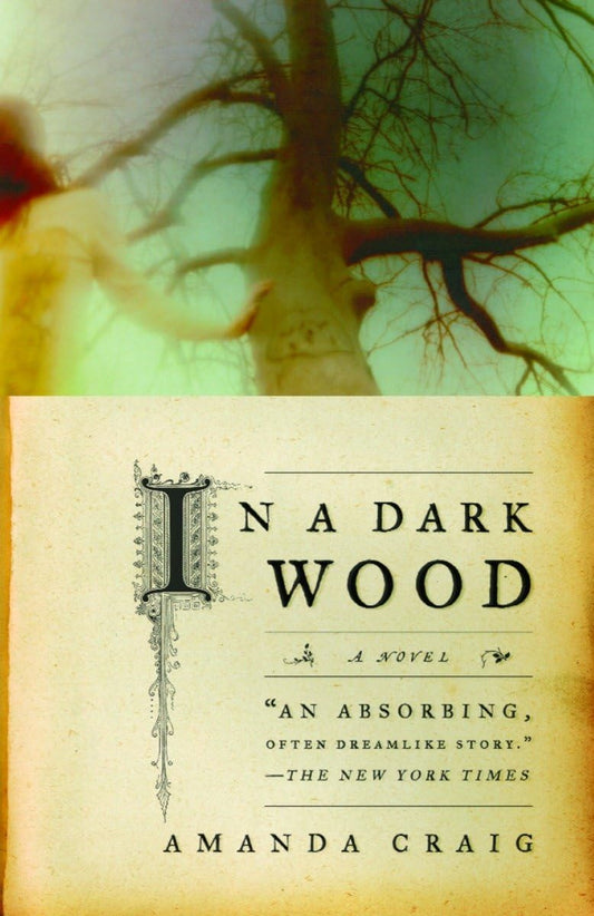 In a Dark Wood book cover