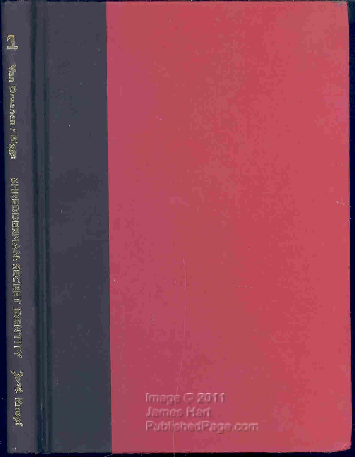 Secret Identity book cover