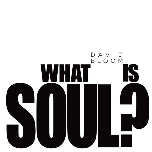 What Is Soul? book cover