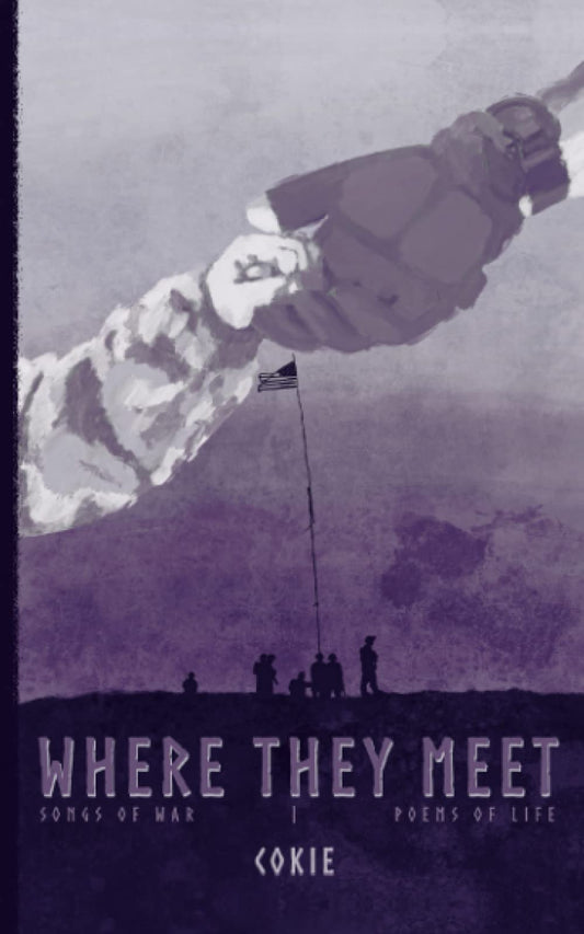Where They Meet book cover