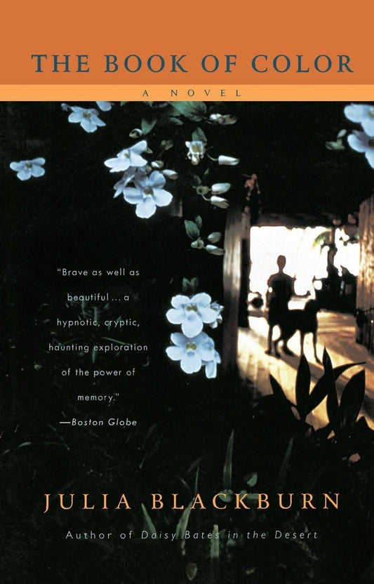 Book of Color book cover