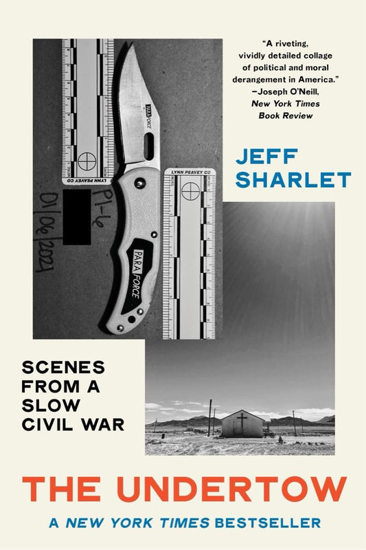 Undertow: Scenes from a Slow Civil War book cover