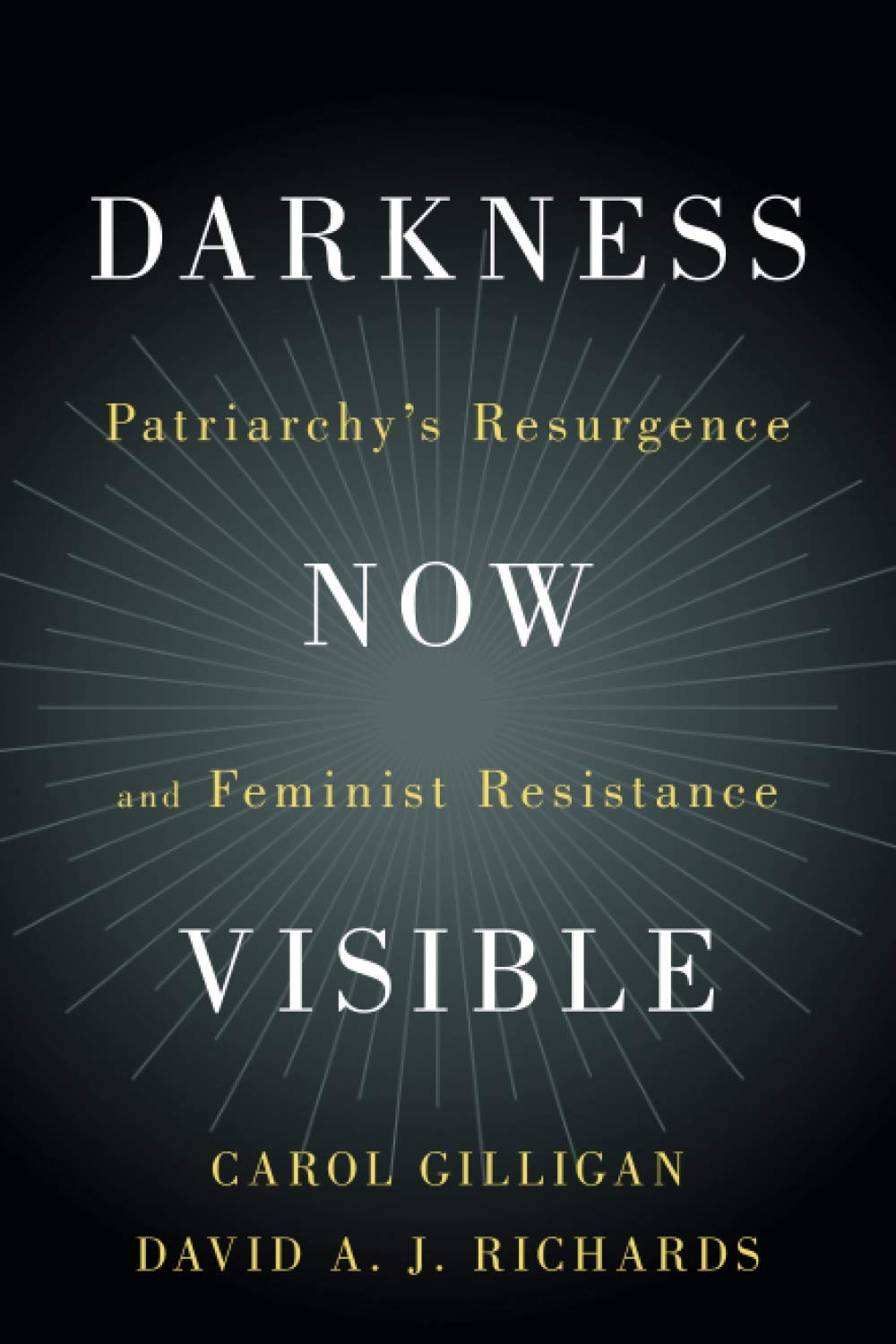 Darkness Now Visible book cover