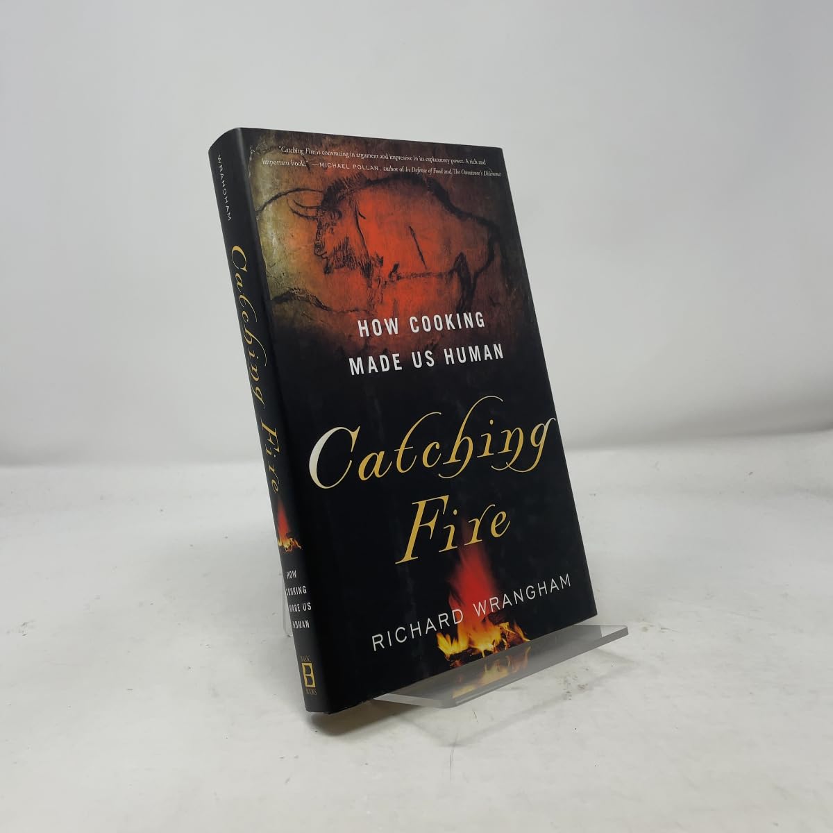 Catching Fire: How Cooking Made Us Human book cover
