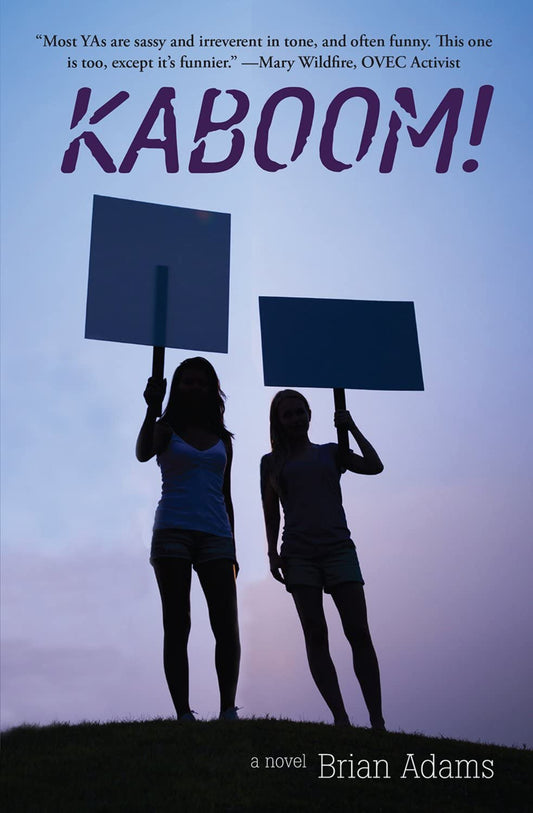 Kaboom book cover