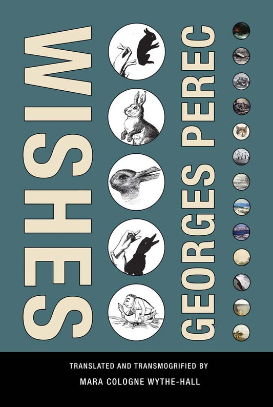 Wishes book cover