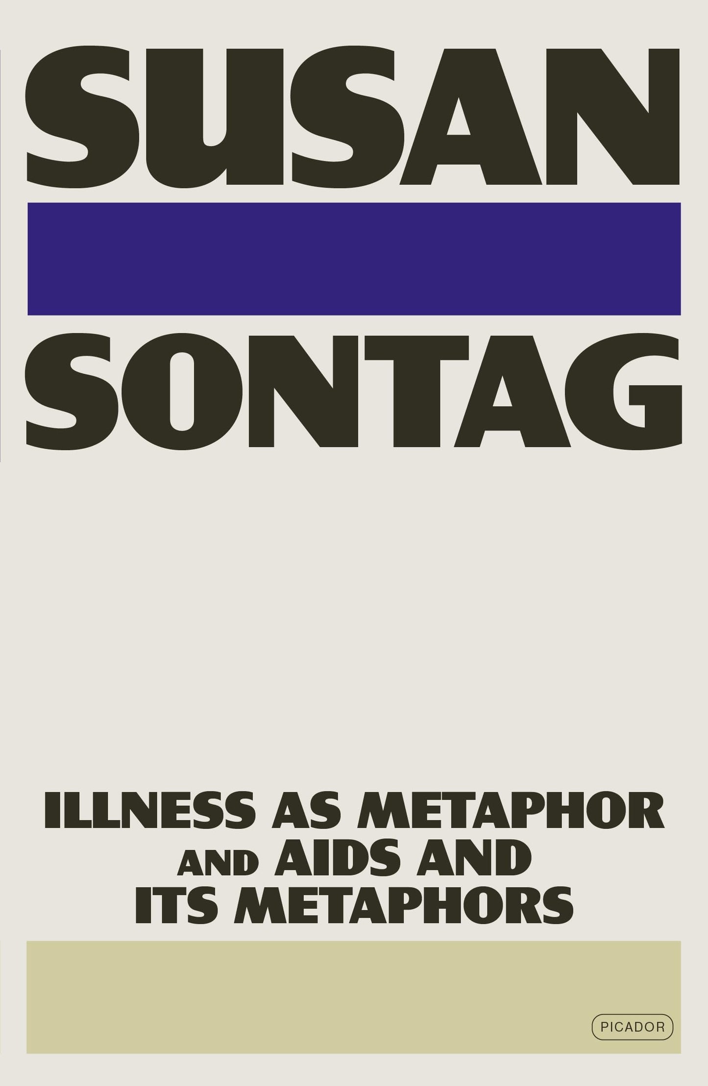 Illness as Metaphor and AIDS and Its Metaphors book cover