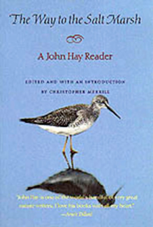 Way to the Salt Marsh: Cultural Recall in the Present book cover