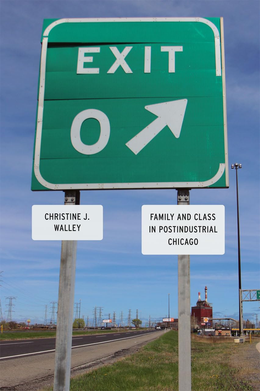 Exit Zero: Family and Class in Postindustrial Chicago book cover