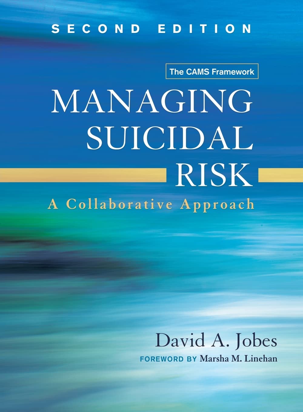 Managing Suicidal Risk: A Collaborative Approach book cover