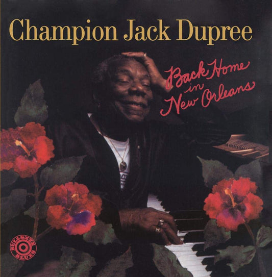 Back Home in New Orleans book cover