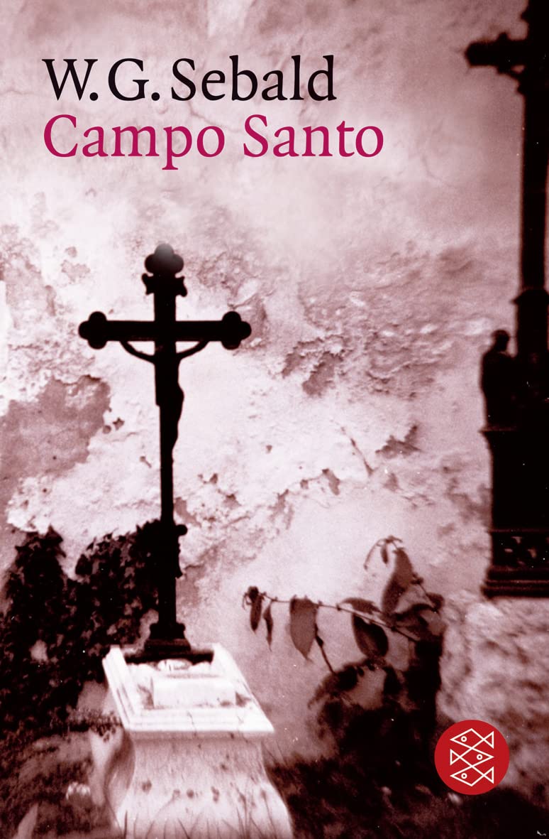 Campo Santo book cover