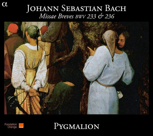 Missae Breves Bwv 233 & 236 book cover