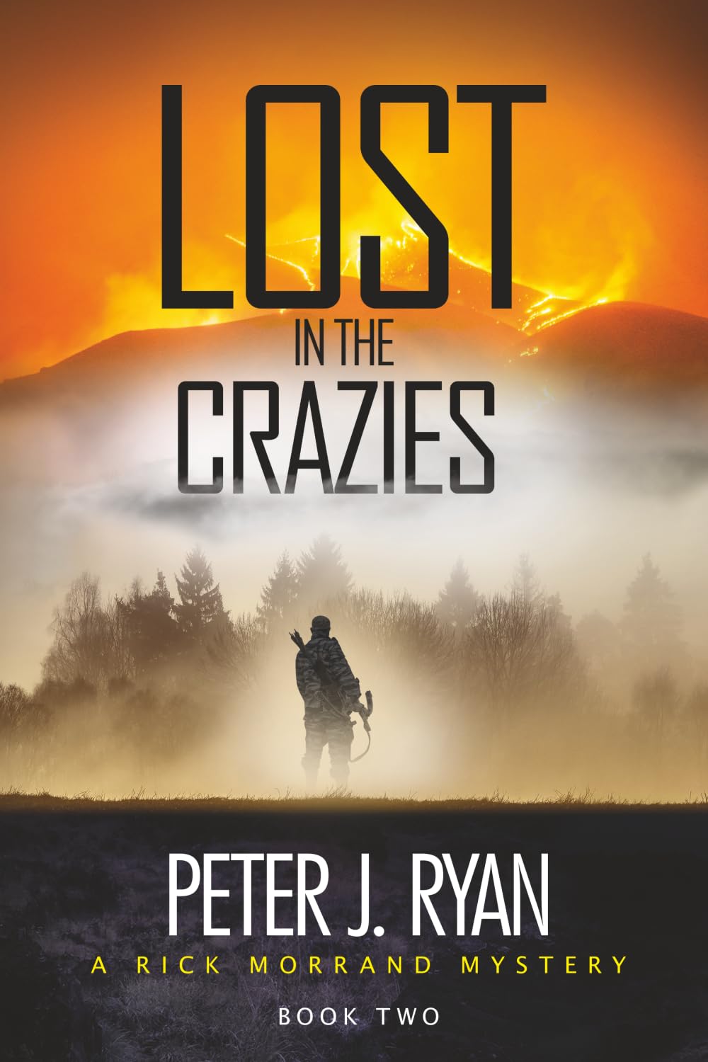 Lost in the Crazies book cover
