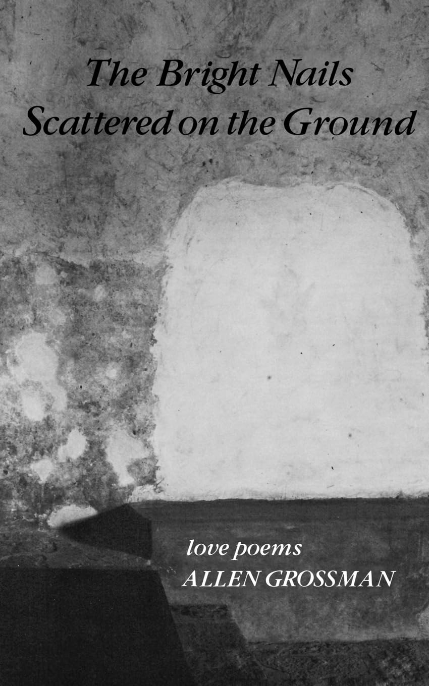 Bright Nails Scattered on the Ground: Poetry book cover