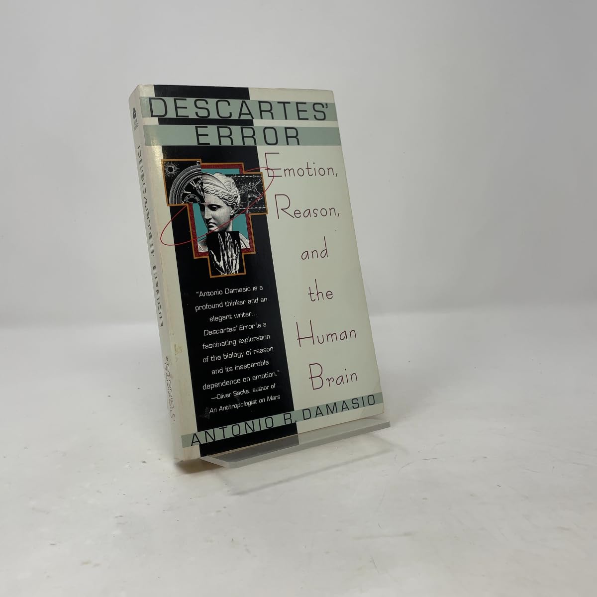 Descartes' Error book cover
