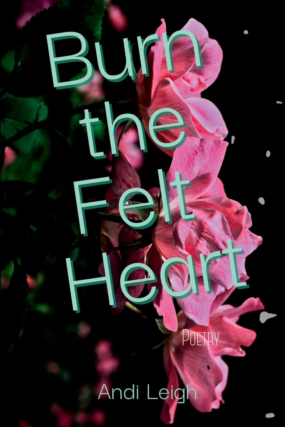 Burn the Felt Heart book cover
