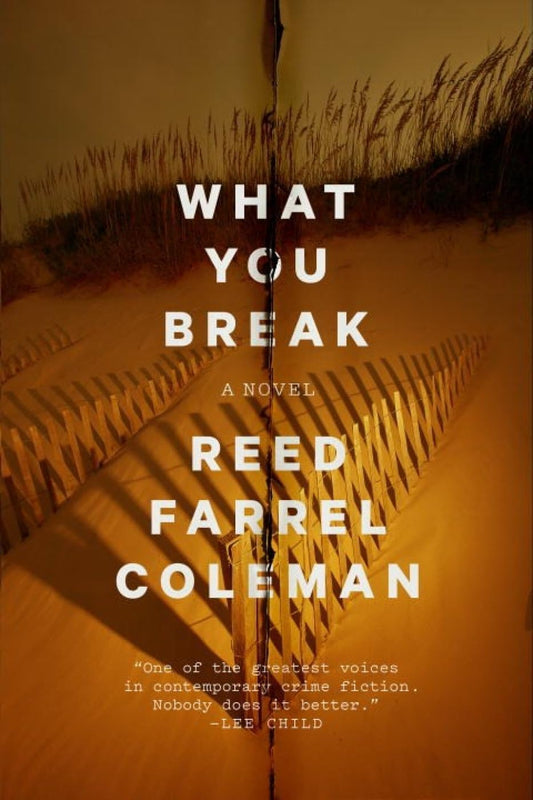 What You Break book cover