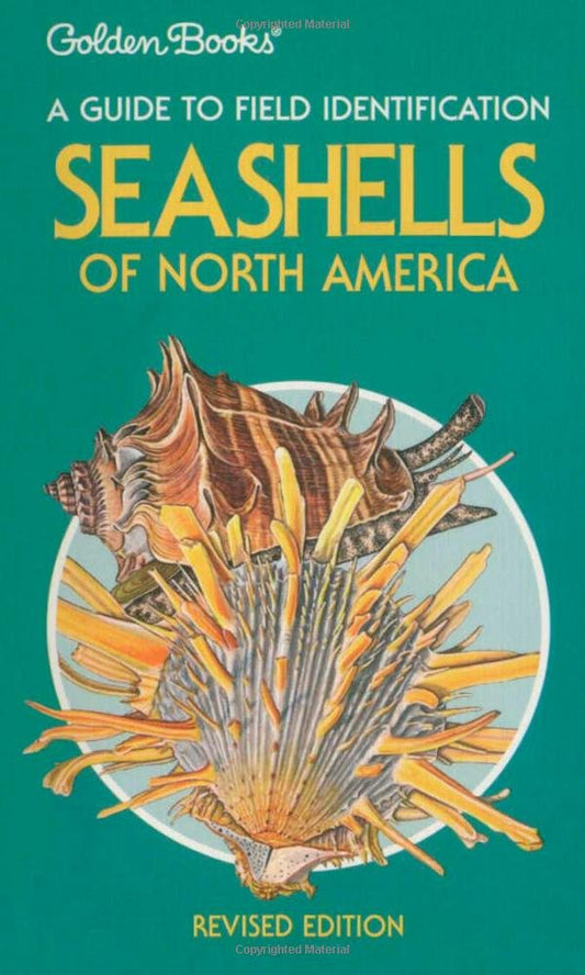 Seashells of North America