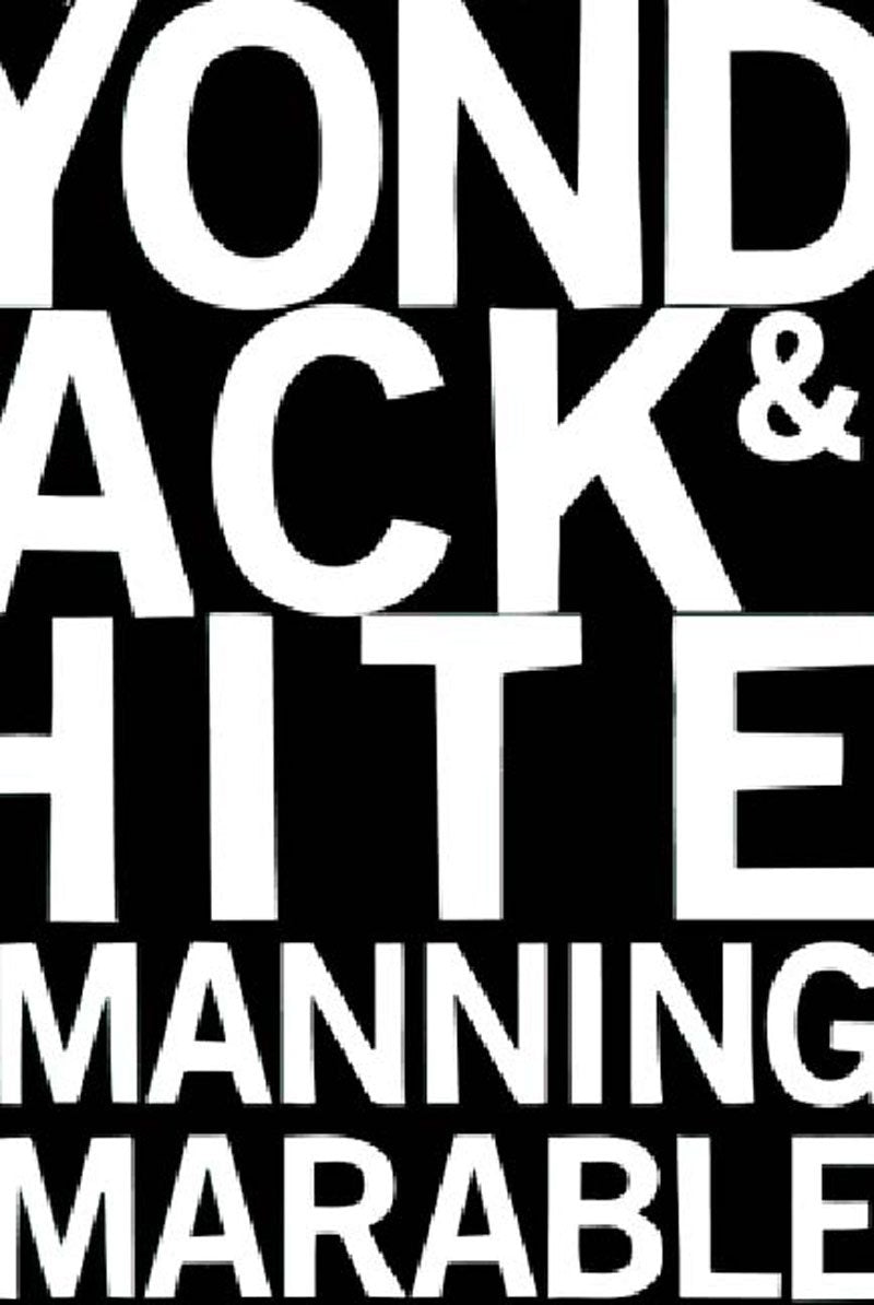 Beyond Black and White: Rethinking Race in American Politics and Society (Revised) book cover