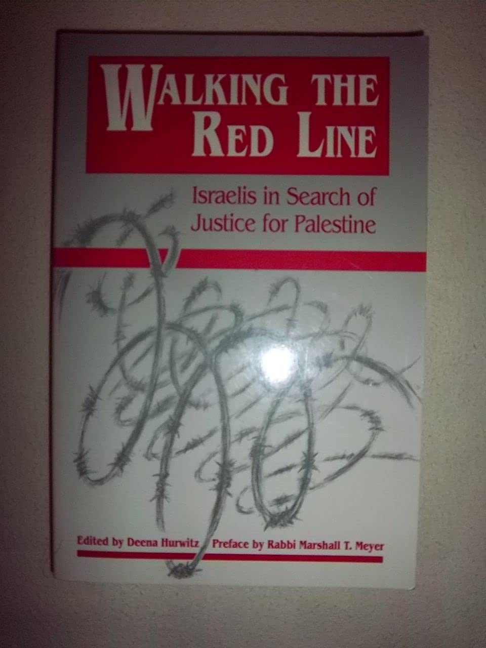 Walking the Red Line: Israelis in Search of Justice for Palestine book cover