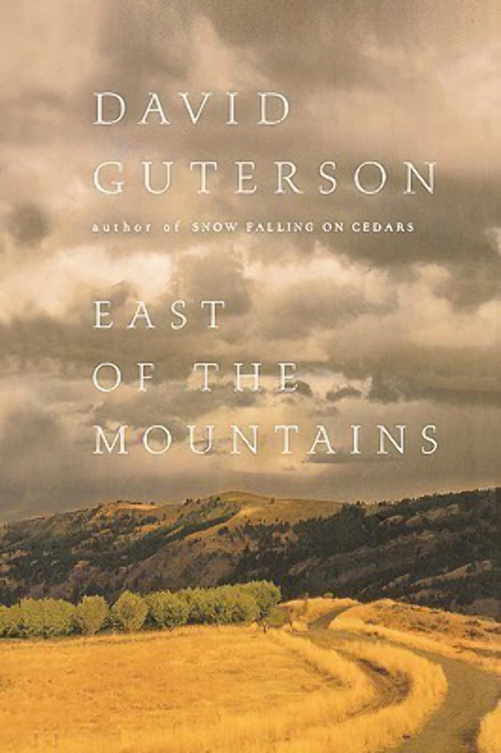 East of the Mountains book cover