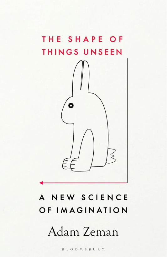 The Shape of Things Unseen book cover