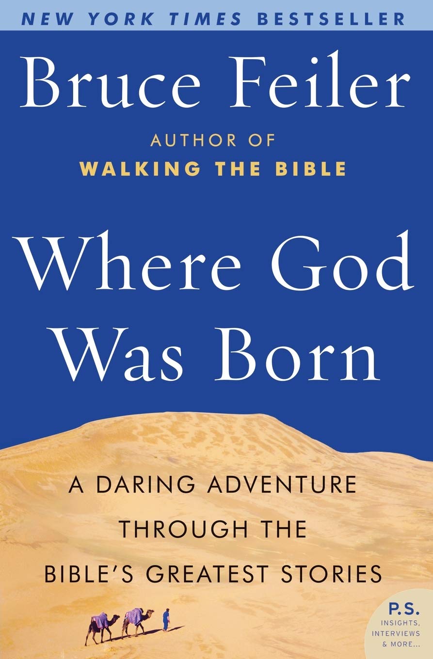 Where God Was Born: A Daring Adventure Through the Bible's Greatest Stories book cover