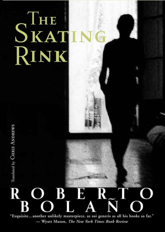 Skating Rink book cover