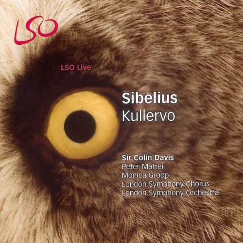 Kullervo book cover