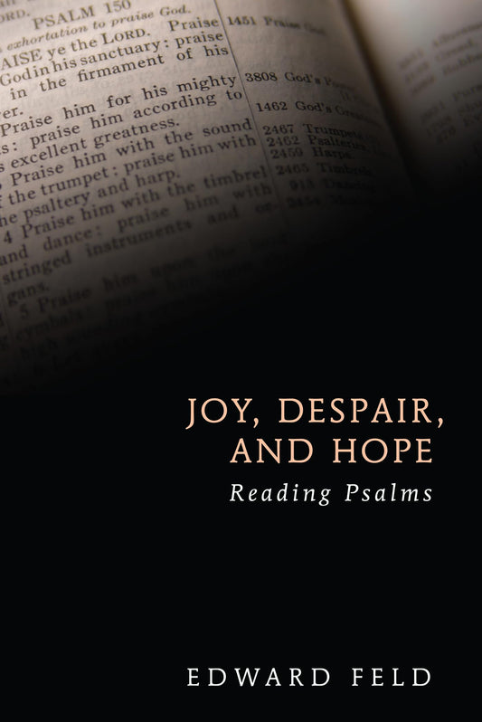 Joy, Despair, and Hope book cover