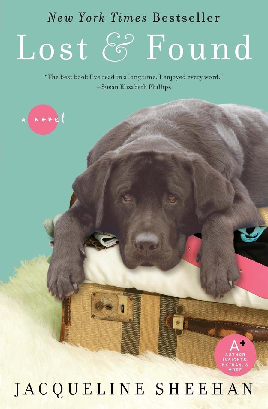 Lost & Found book cover