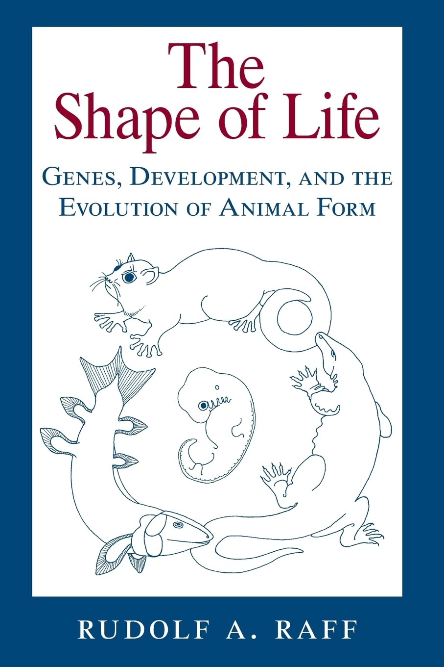 Shape of Life: Genes, Development, and the Evolution of Animal Form