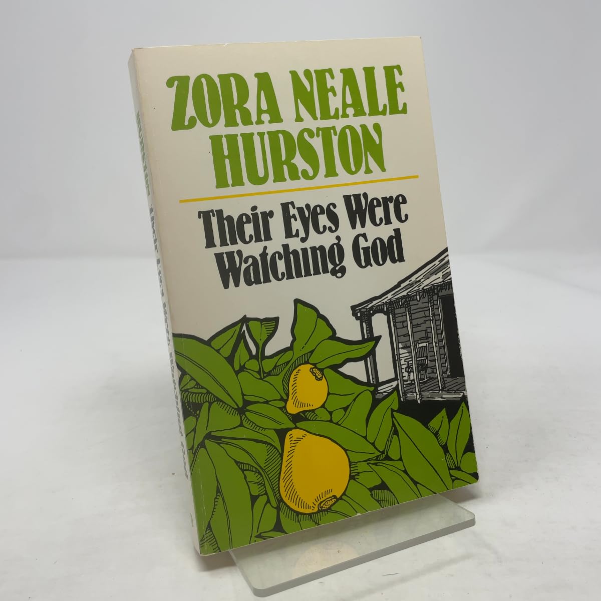 Their Eyes Were Watching God book cover