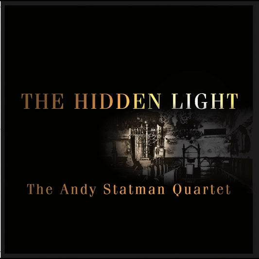 Hidden Light book cover
