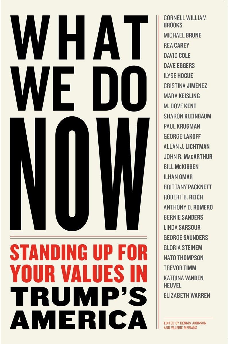 What We Do Now: Standing Up for Your Values in Trump's America book cover