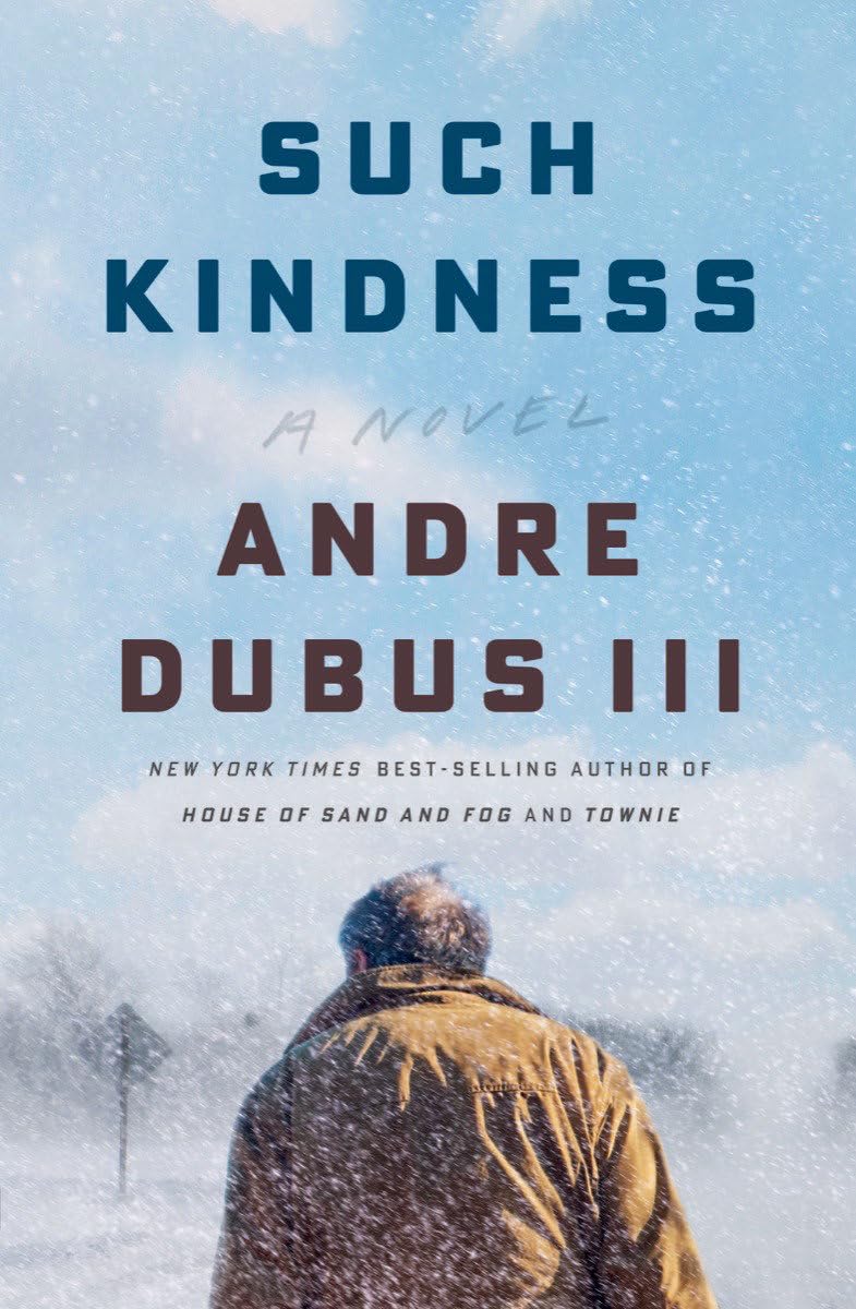 Such Kindness book cover