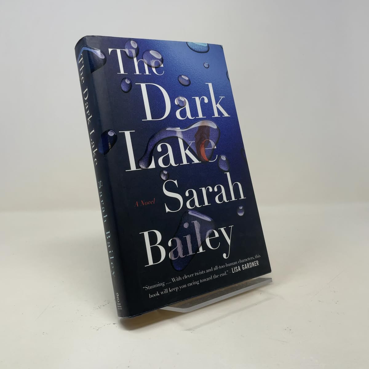Dark Lake book cover