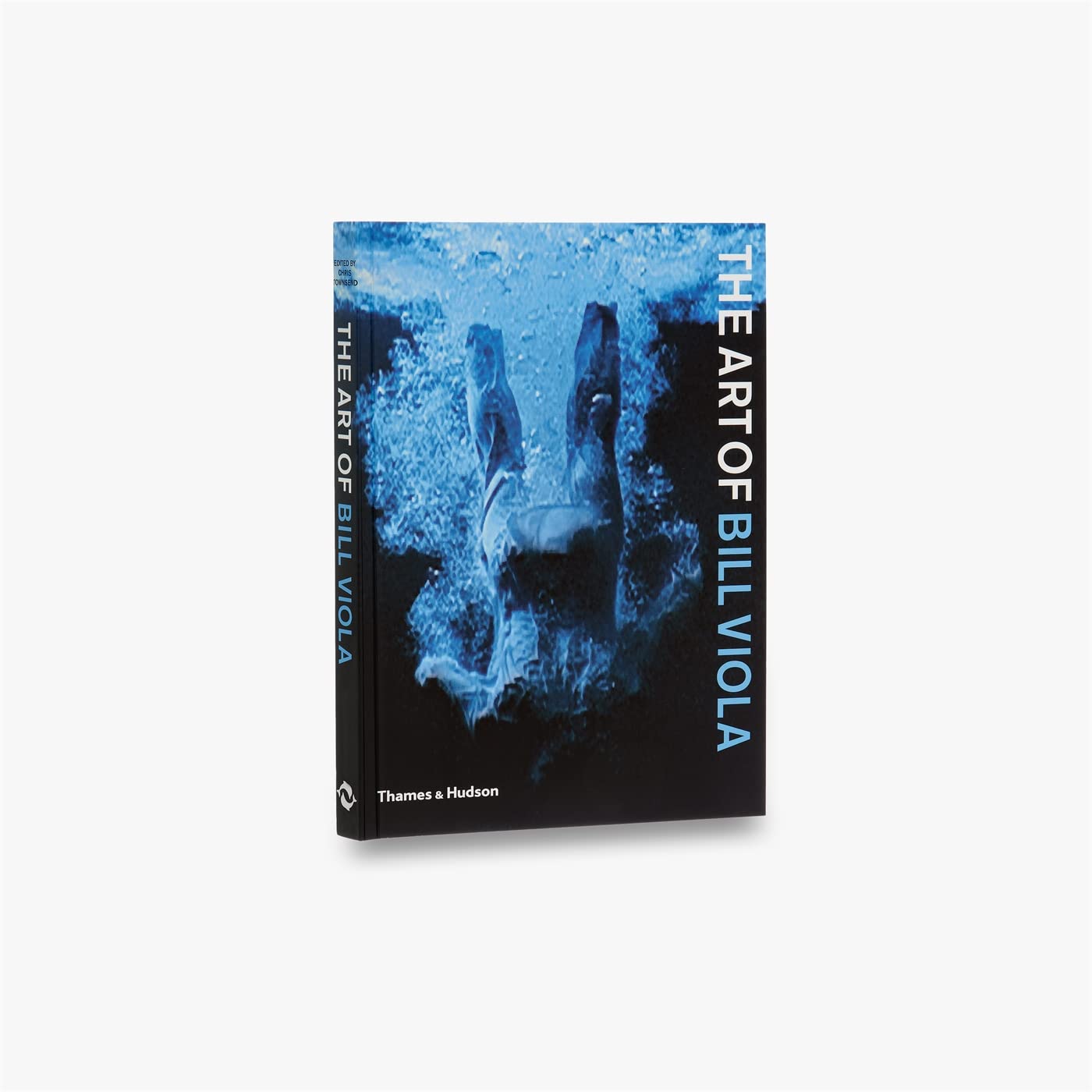 Art of Bill Viola book cover